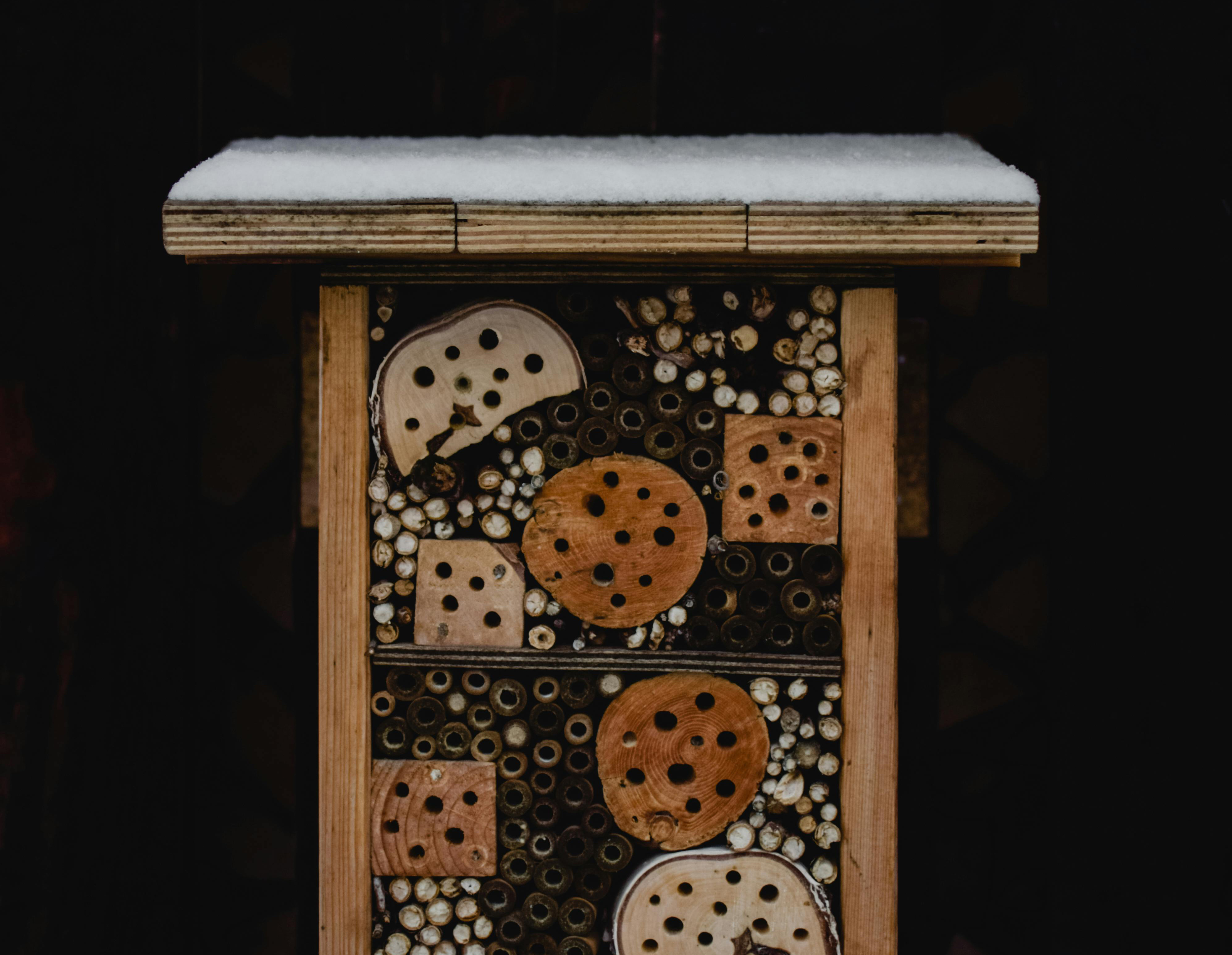 insectenhuisje