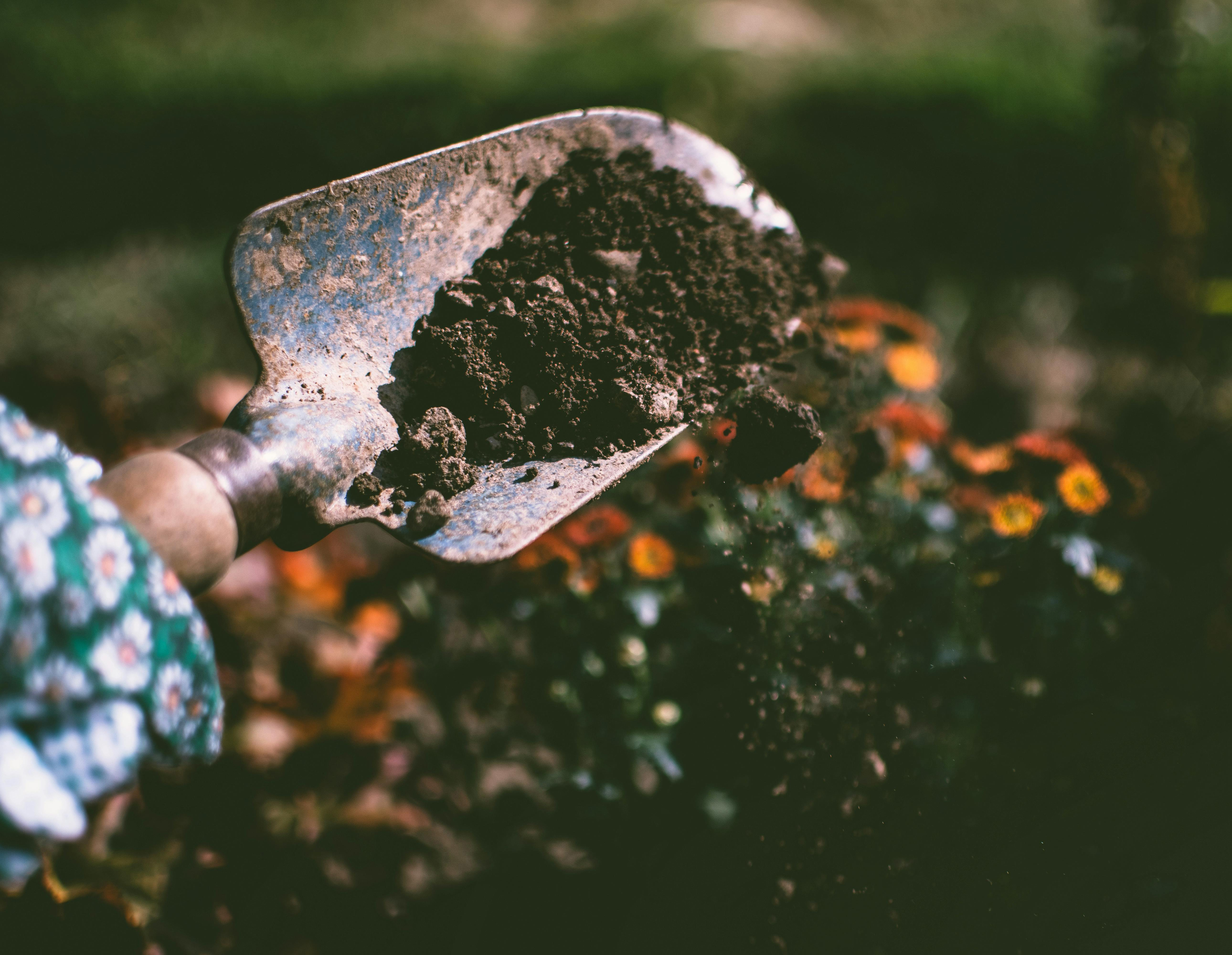 plantactie